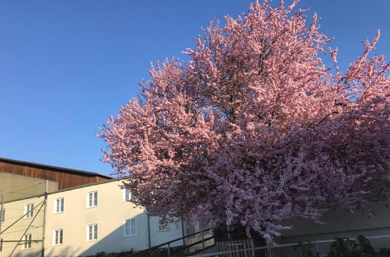Landpension Gschwantner Lengenfeld Esterno foto